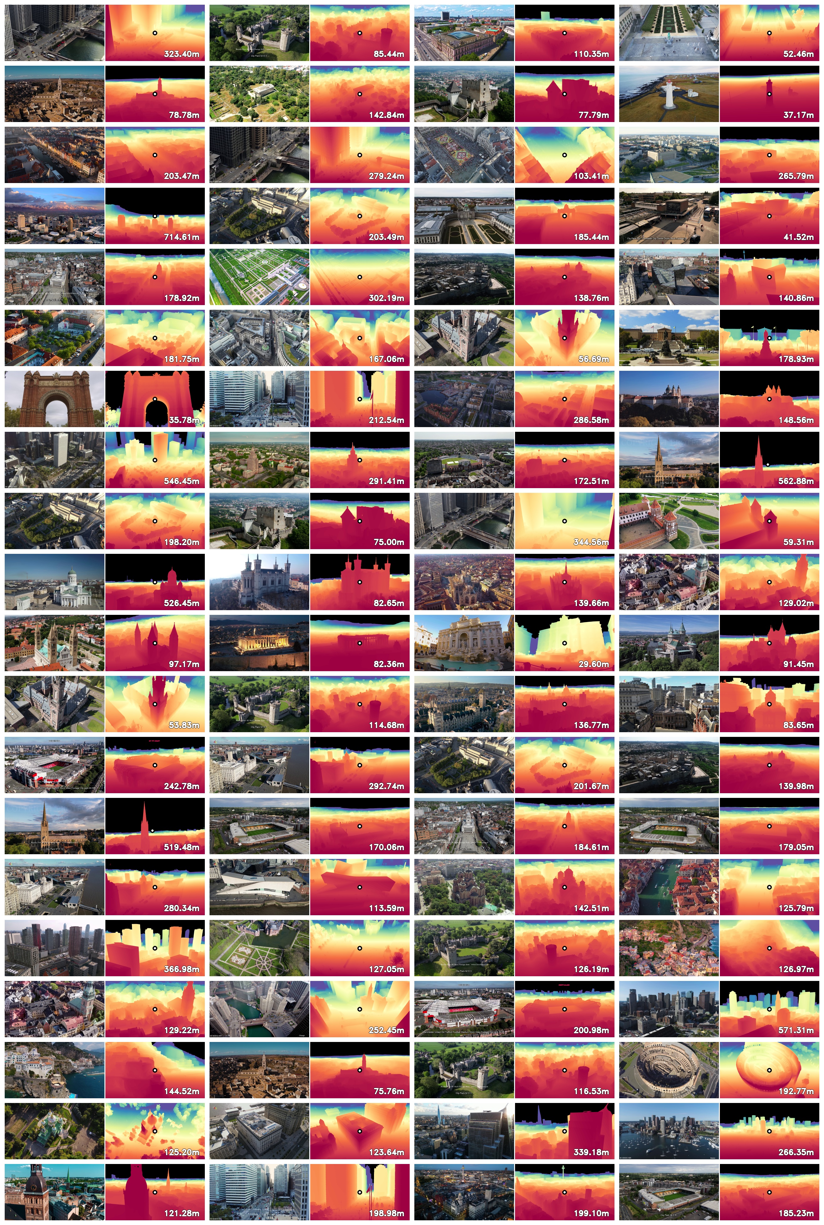Wild Dataset